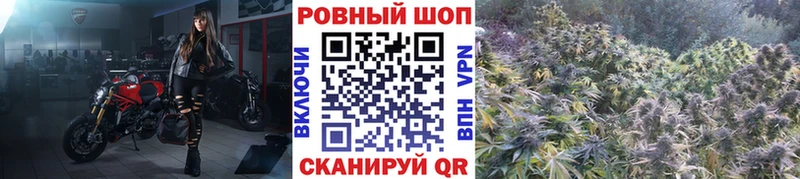 Галлюциногенные грибы Рославль