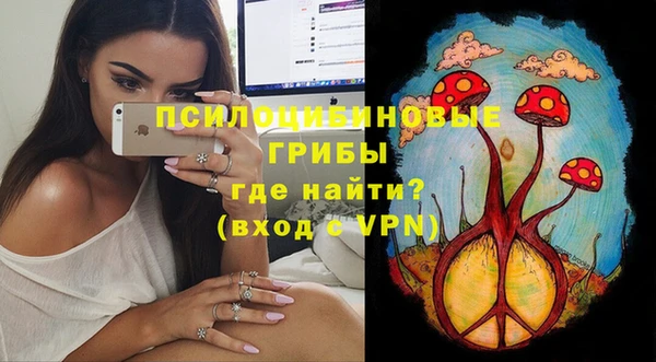 дживик Наволоки