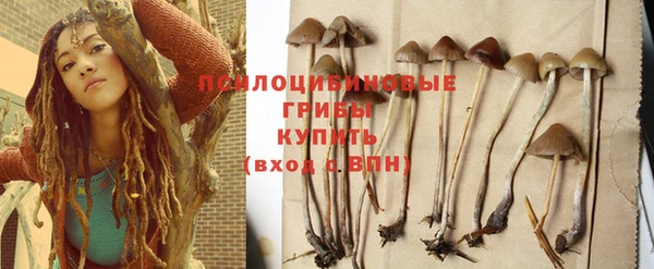 МДПВ Навашино