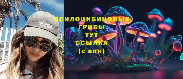 МДПВ Навашино