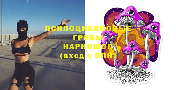МДПВ Навашино