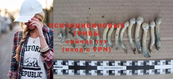 МДПВ Навашино