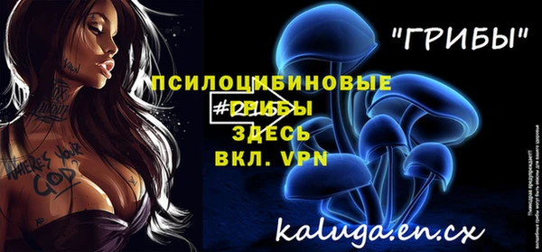дживик Наволоки