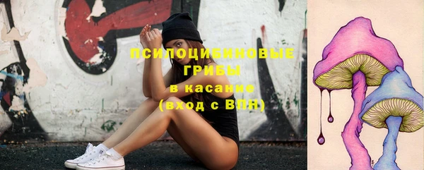 МДПВ Навашино